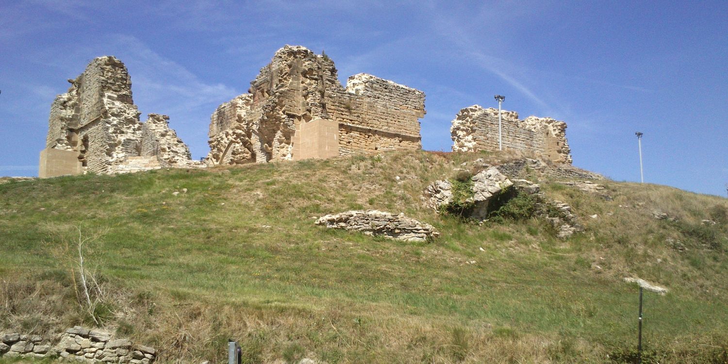 Teresa Sanchez banner