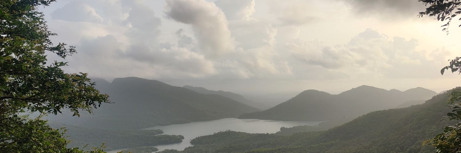 steponbuddy's profile banner image