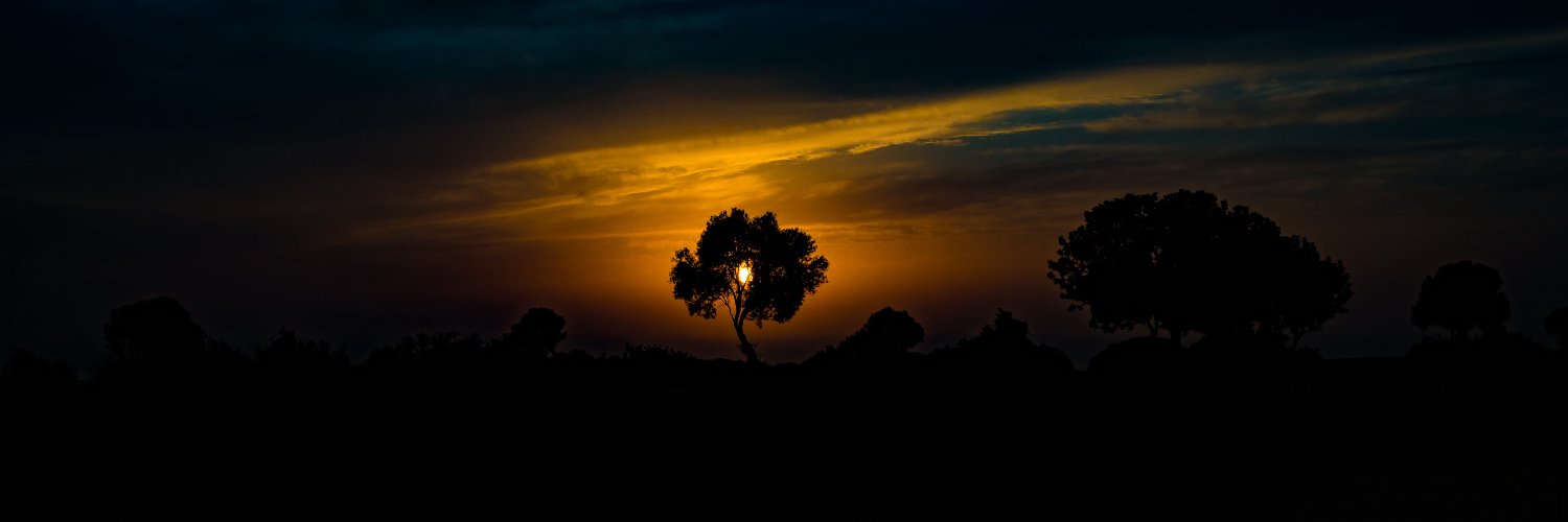 aaphotographyst's profile banner image