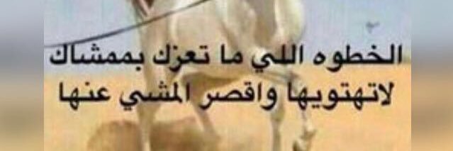 anedh__502's profile banner image