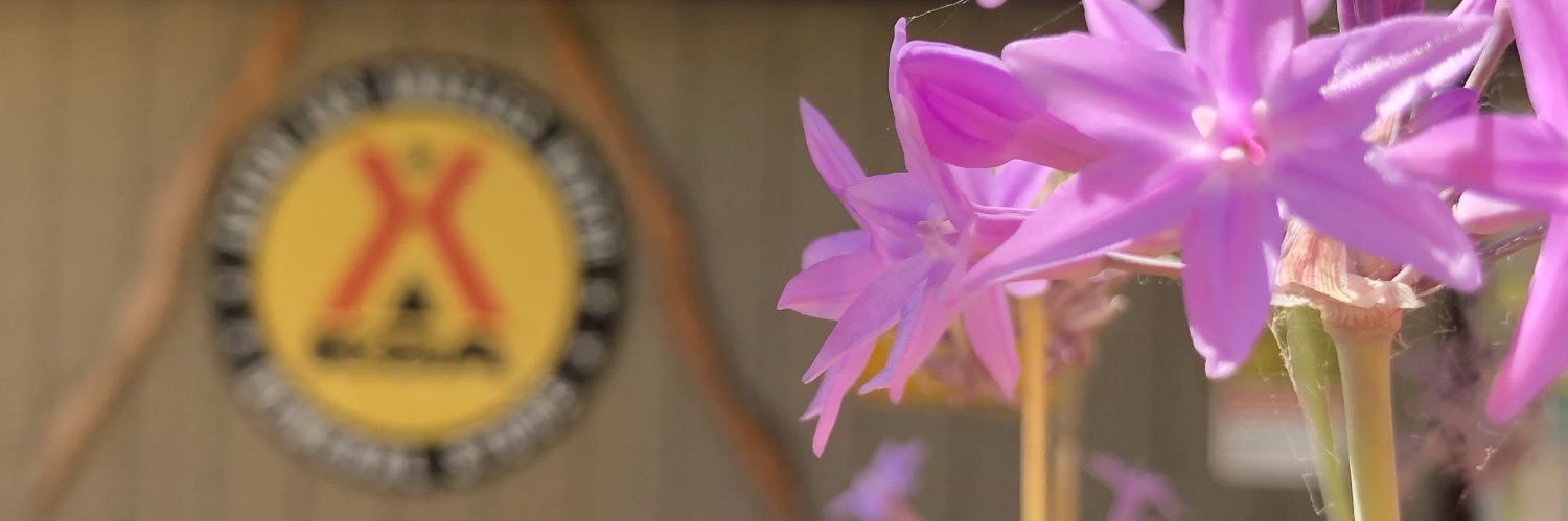 ActonKOA's profile banner image