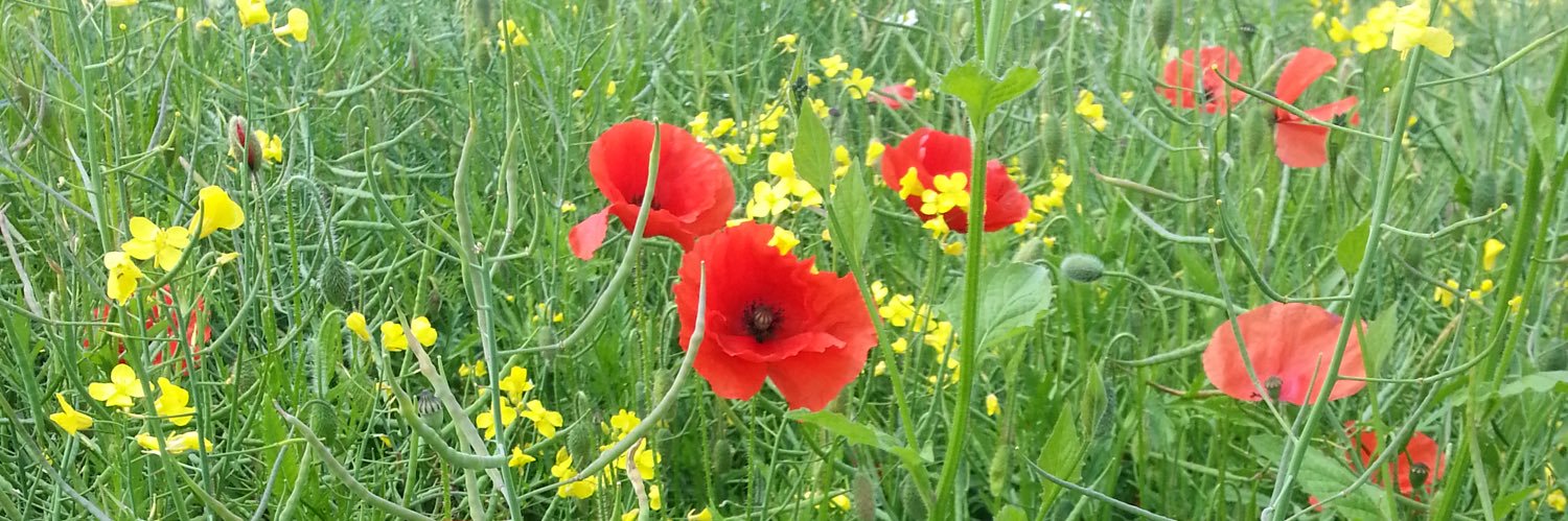 Karen Kendall banner