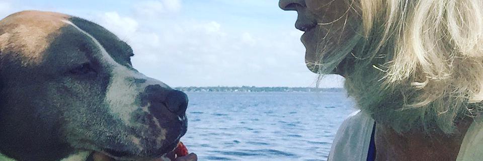 cindy394's profile banner image