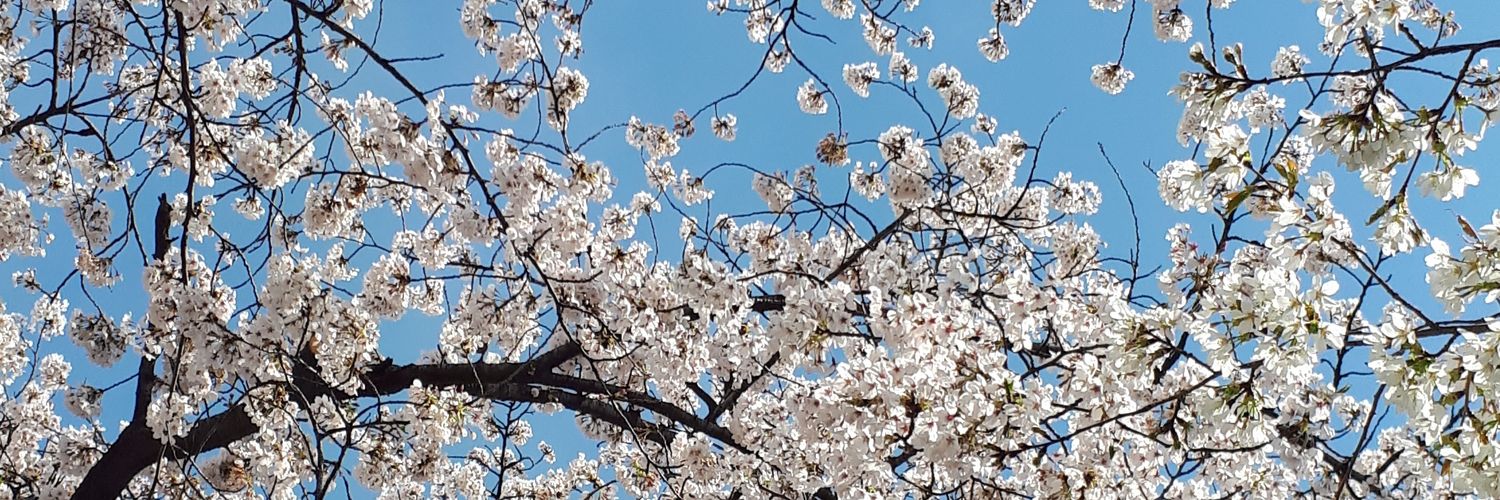 srinivasamr's profile banner image