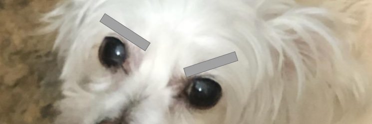 daslotmachine's profile banner image