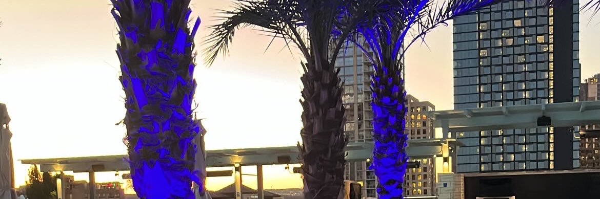 sebjauger's profile banner image
