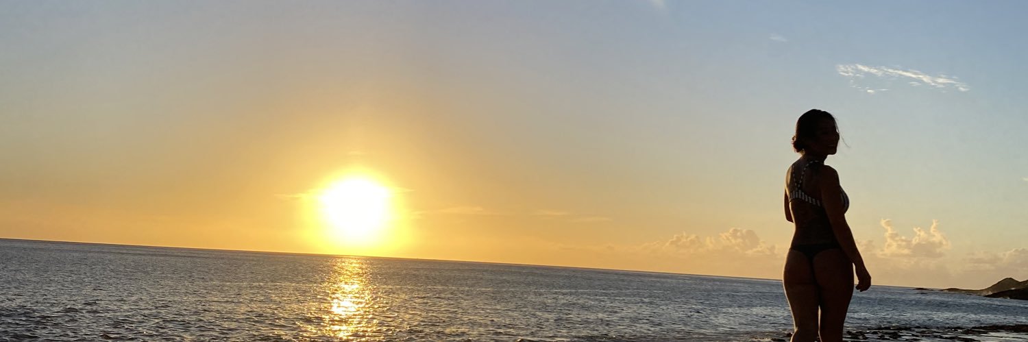 LilDimSumm's profile banner image