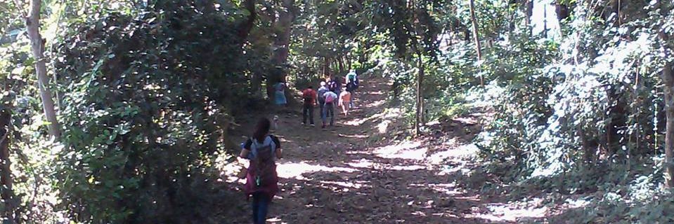 Armando Cifuentes banner