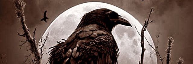 jamie_braglin's profile banner image