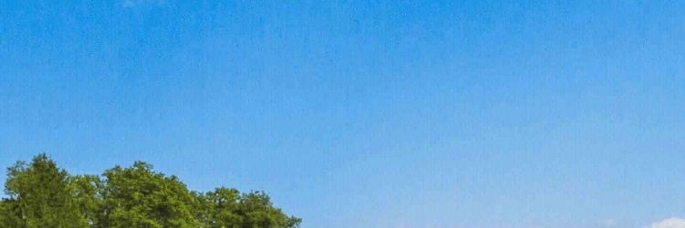ellhari's profile banner image