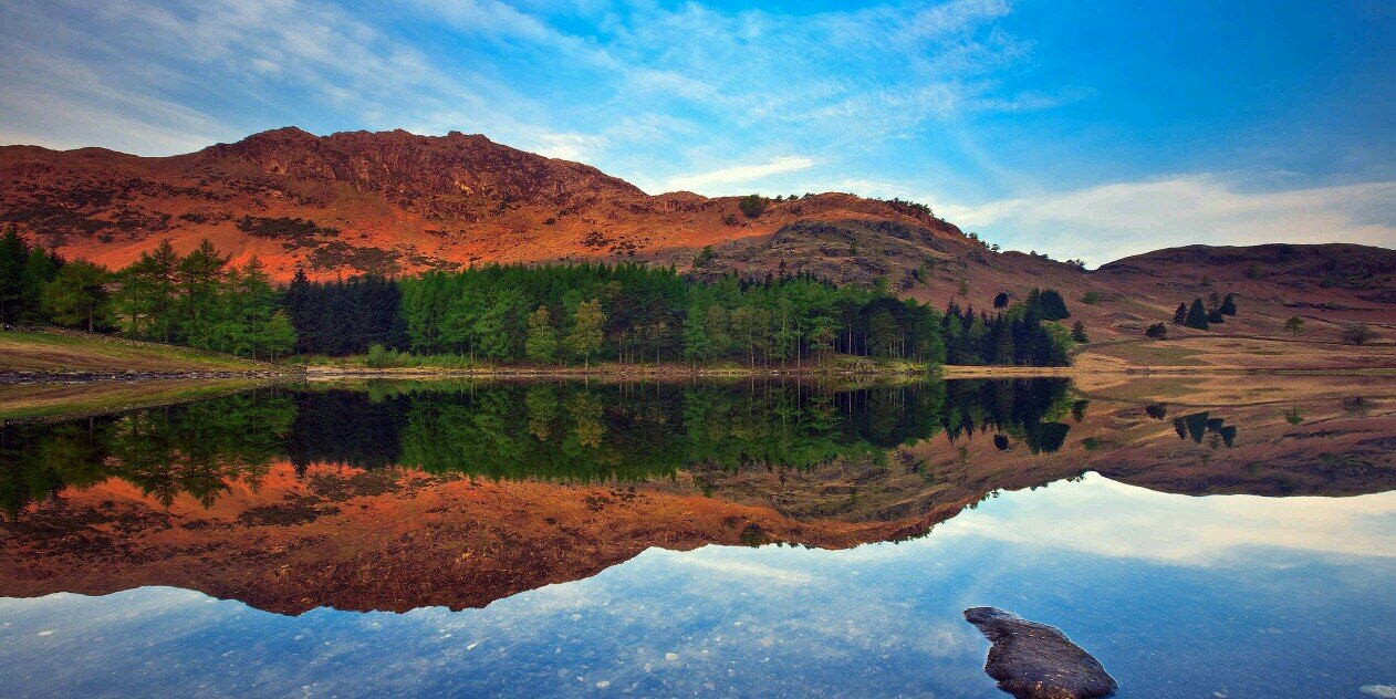 Anfal Shamsudeen banner