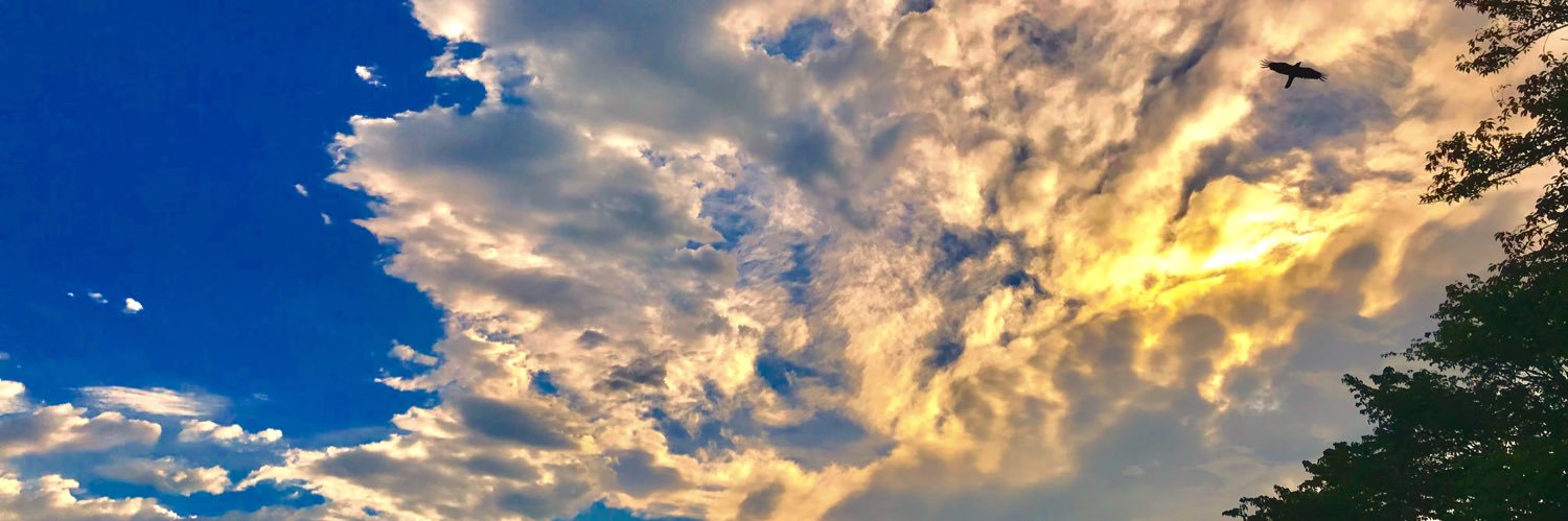 にのまえ あきら banner