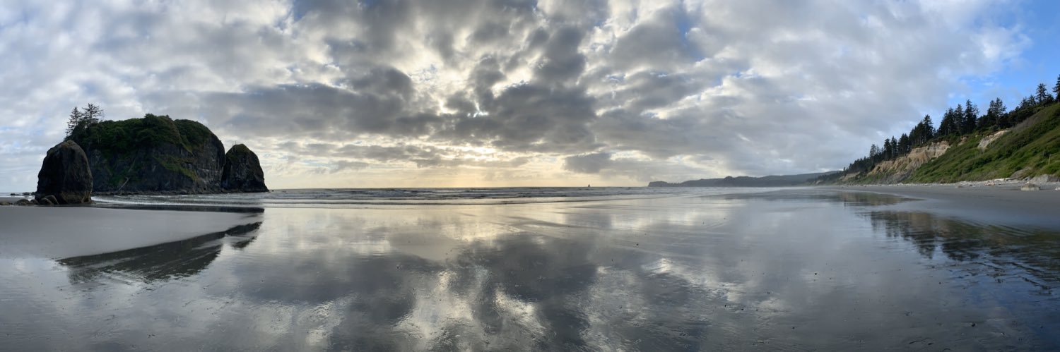 AintNoPigeon's profile banner image