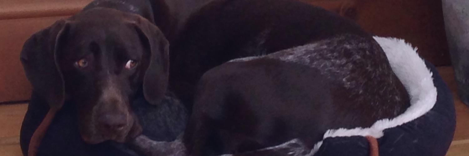 DavidsonMick's profile banner image