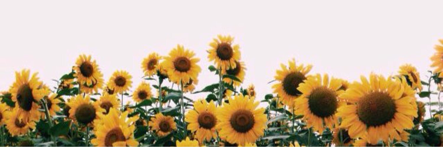 guisselopez96's profile banner image