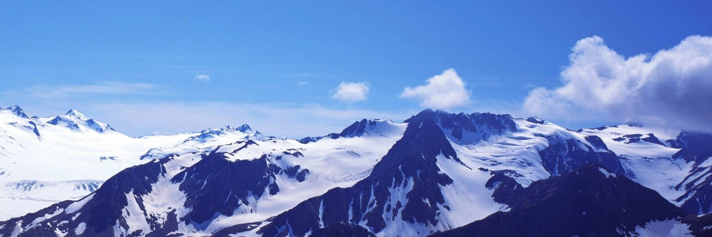 フルーツカレー banner
