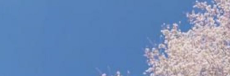 amk0313ice's profile banner image