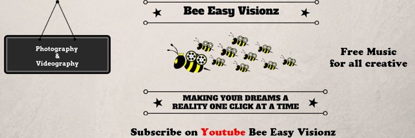 BeeEasyVisionz's profile banner image