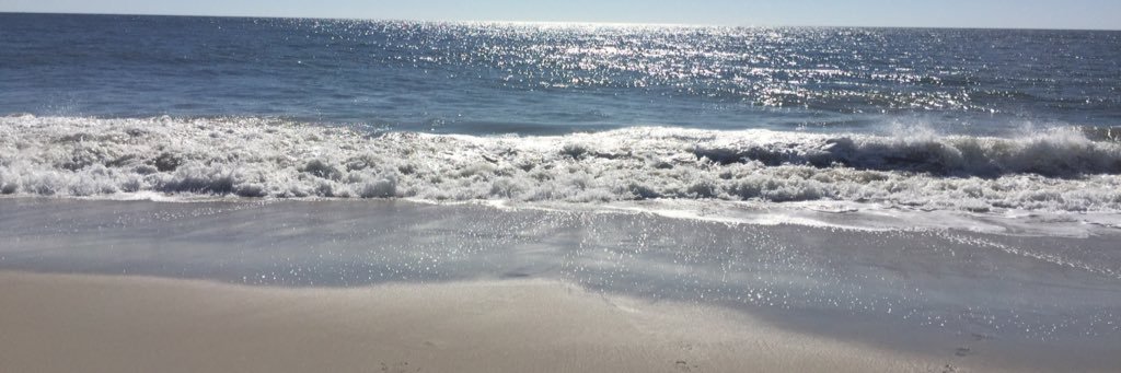 libby656's profile banner image