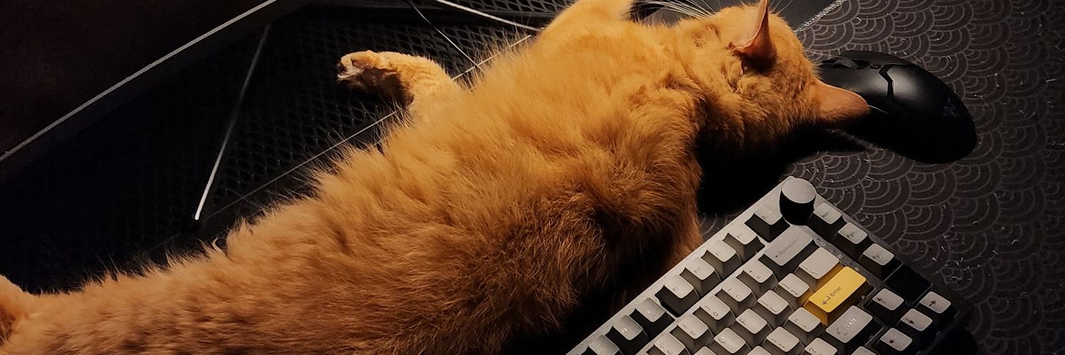 eryssa00's profile banner image