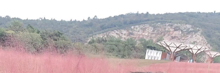 熟女姨品汇 banner