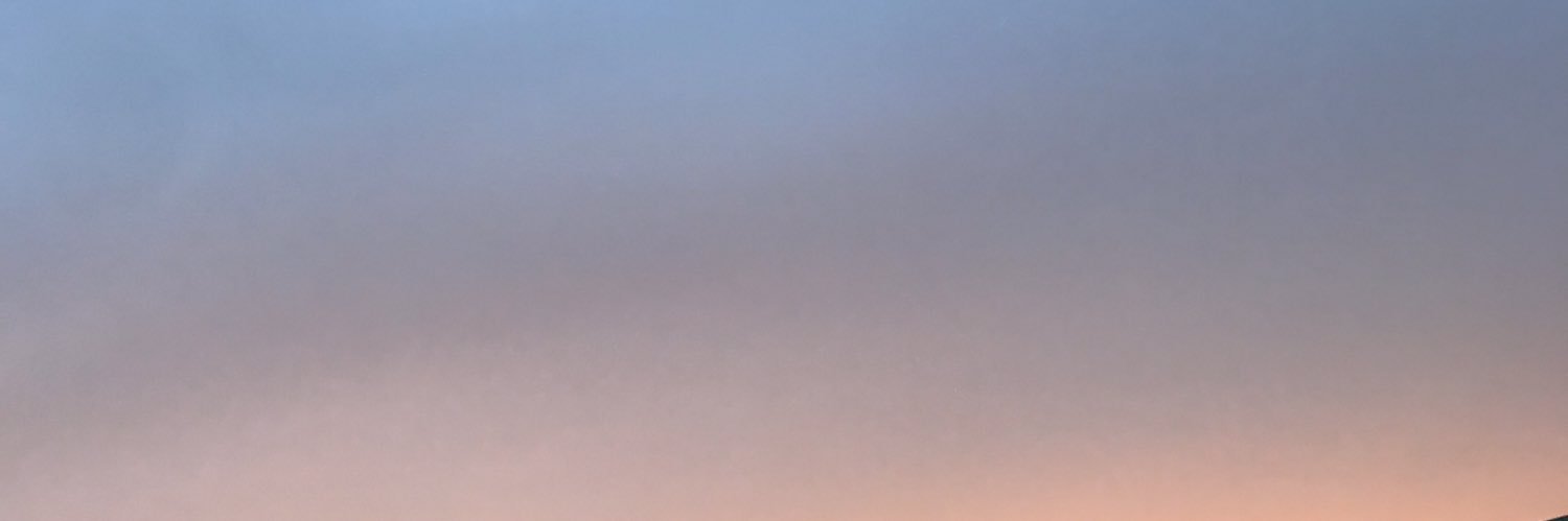 ally_ballerr's profile banner image