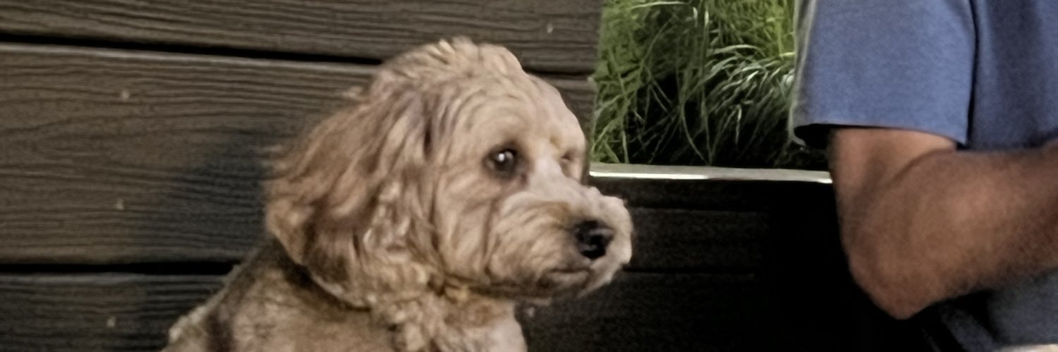a_cortx's profile banner image