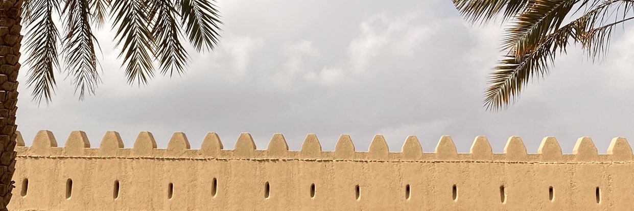 ShamsaAlb's profile banner image