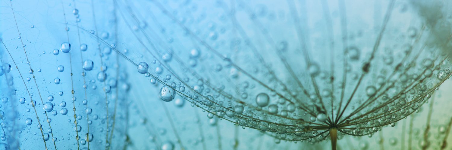 OpenEdition Pro banner