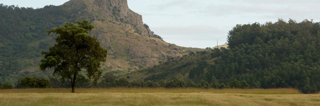 skhall13's profile banner image