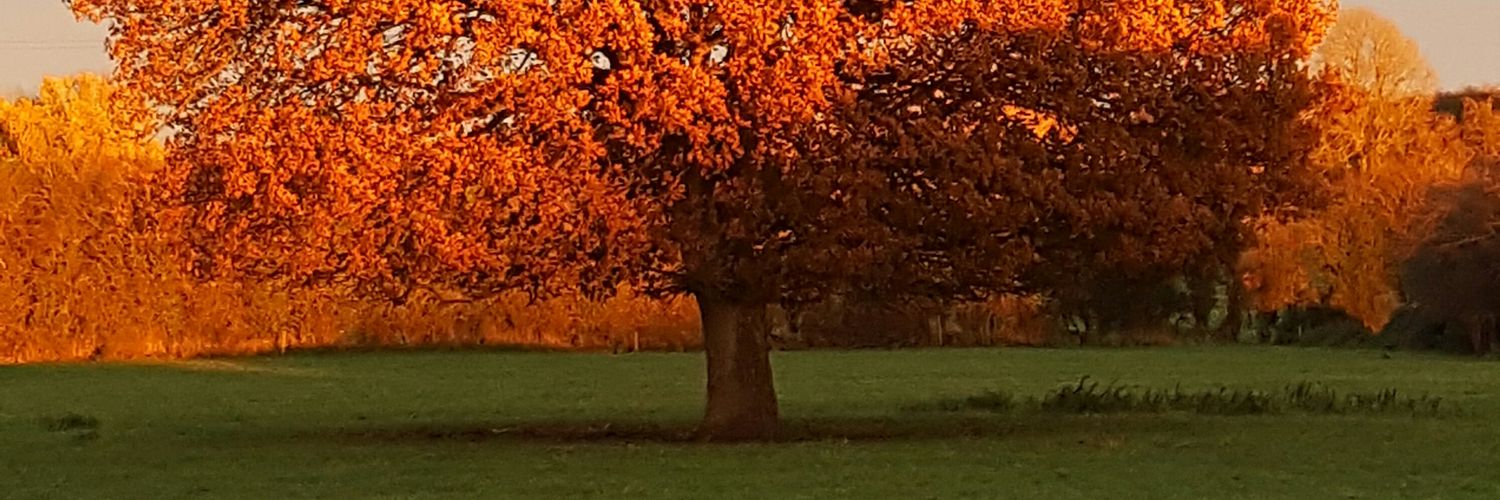 Headskins77's profile banner image