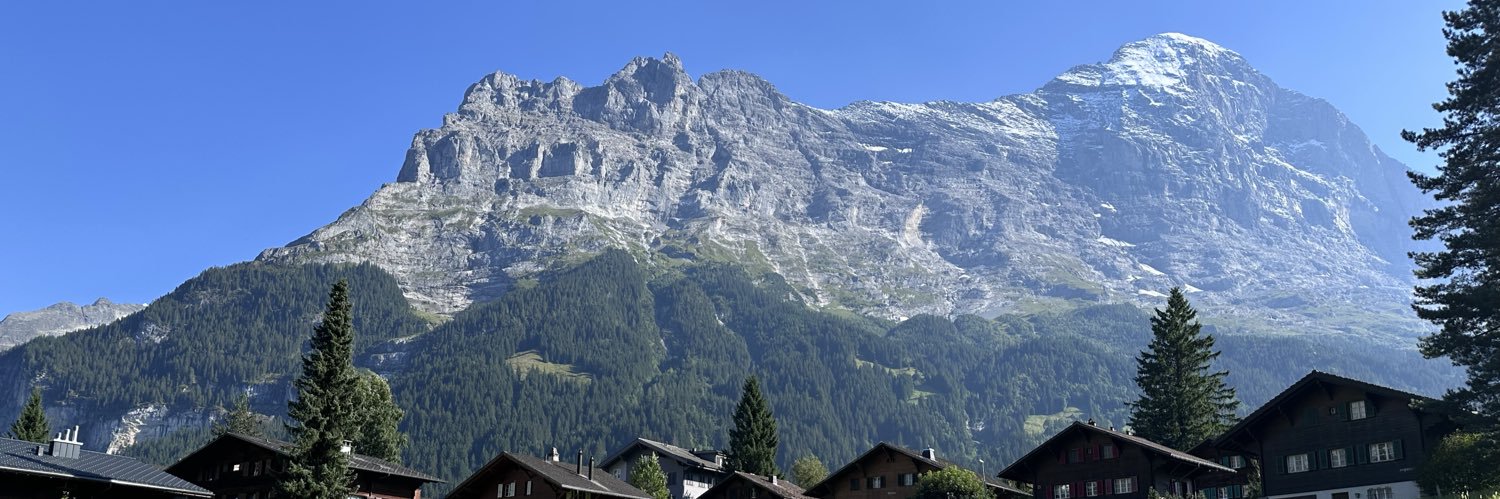 B⬡c Elle ⬡ banner