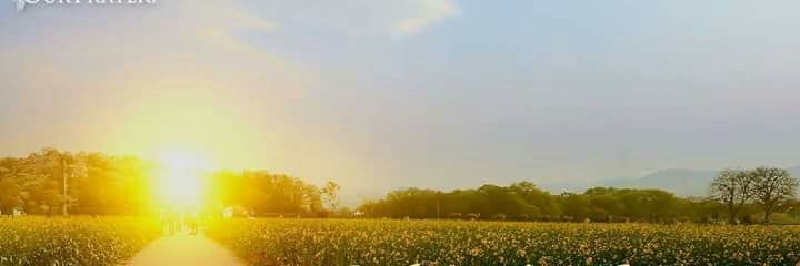 Jacymiss2's profile banner image