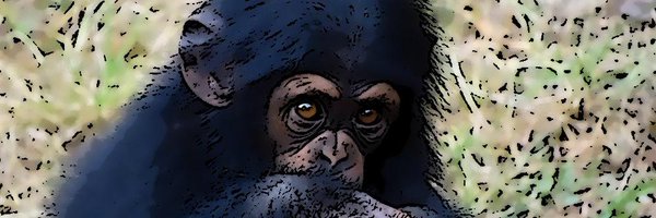 CirucciLori Profile Banner