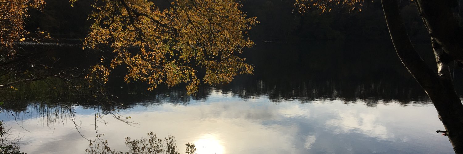 Nicky Knowles banner