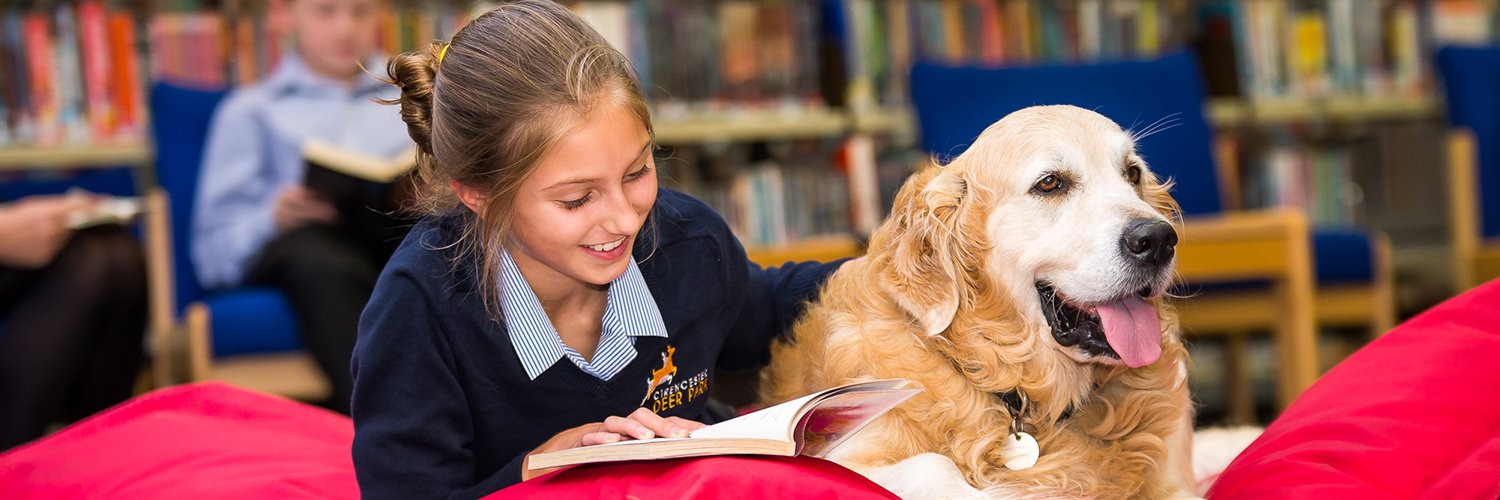 CDPSdogs's profile banner image
