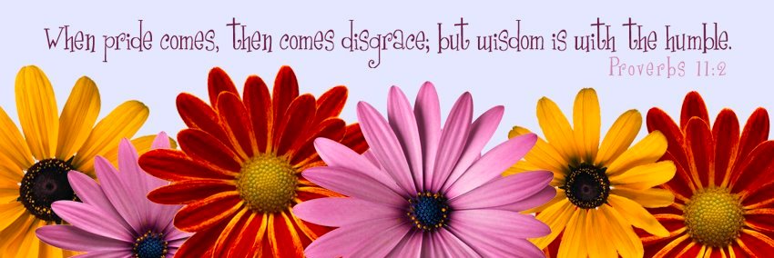 QuotesAndLifes's profile banner image