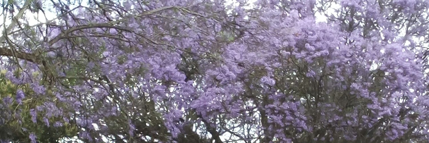 Jôs Okinyi🇰🇪 banner