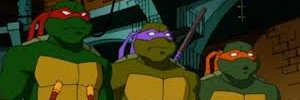 cryptoturtlealt's profile banner image