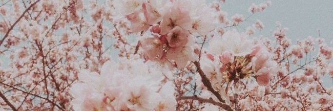 tuerlich_'s profile banner image