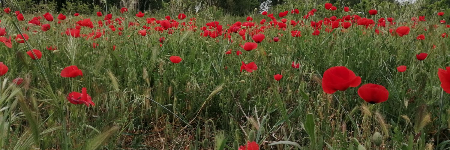 Xavier Nuvials banner