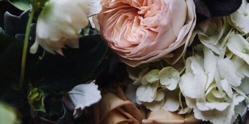 Kristine banner