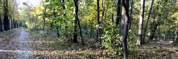 bobdedoc Profile Banner