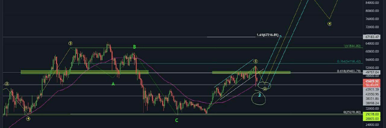 CryptoSaini banner