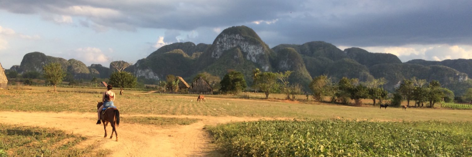 Melanie Altemus banner