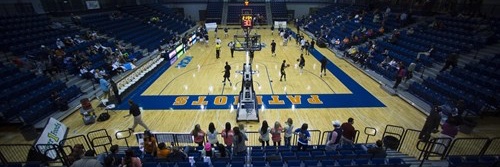 Rebecca Alvidrez banner