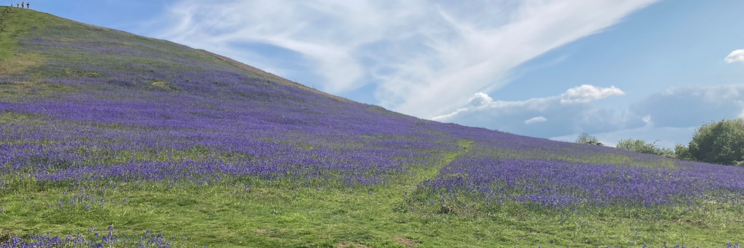 Sophie McDowell banner