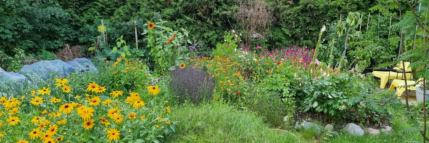 Peter 🌻 banner