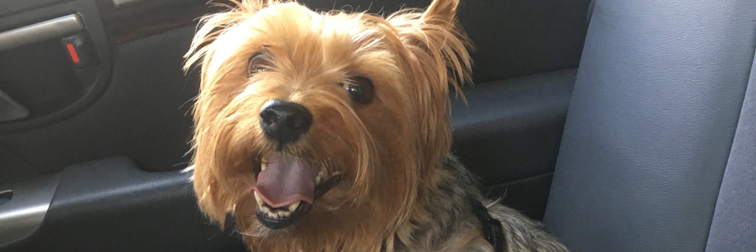 PhilipFrankCHS's profile banner image