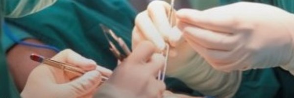 limbsalvagedr Profile Banner